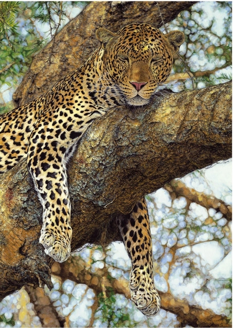 Puzzle Leopardo 1000 pezzi