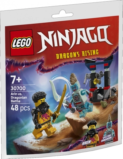 Blocchi NINJAGO battaglia di Arin con il drago