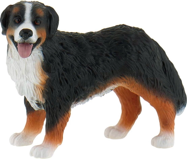 Bovaro del Bernese