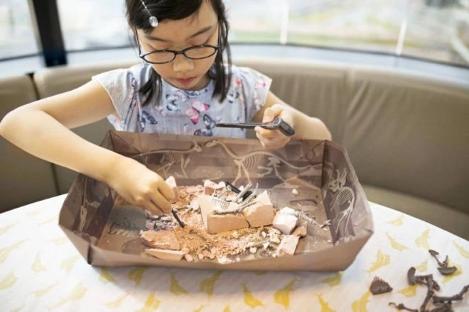 Set di scavo Brachiosaurus – scheletro di dinosauro per bambini