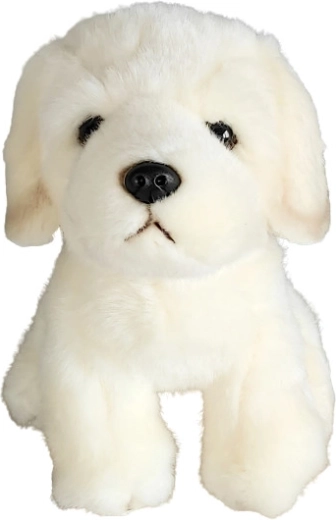Peluche cane Golden Retriever 19 cm