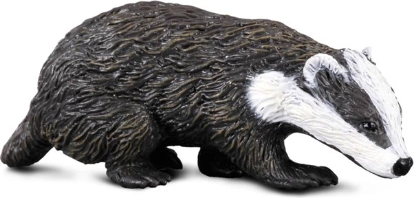 Figura del Tasso COLLECTA