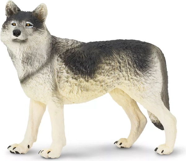 Statuetta di lupo grigio Safari Ltd. - 1 pezzo