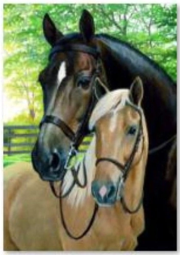 Ricamo con diamanti (diamond painting) cavalli 30 × 40 cm