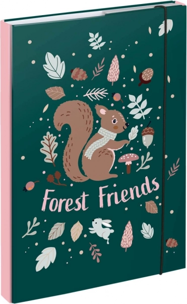 Cartelline per quaderni scolastici A4 con motivo scoiattolo BAAGL