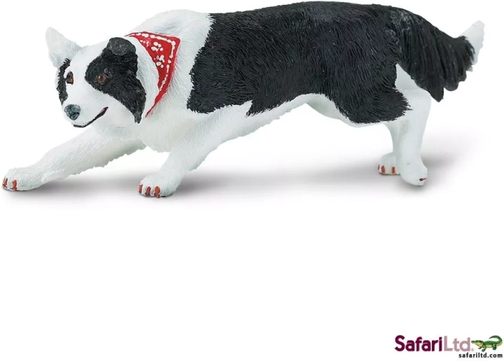 Safari Ltd. figurina di border collie