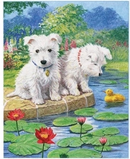 Norimpex pittura con numeri Cani maltesi al lago 40 × 50 cm
