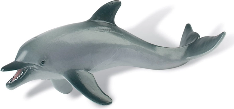 Delfino