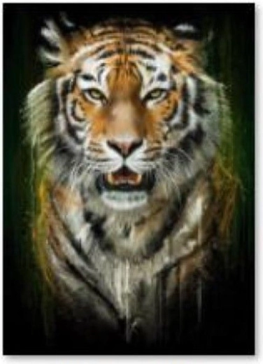 Ricamo di diamanti (diamond painting) tigre - 30 × 40 cm