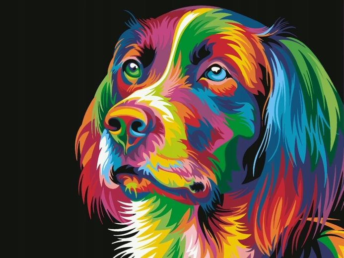 Norimpex Pittura con i numeri Cane colorato 40 × 50 cm