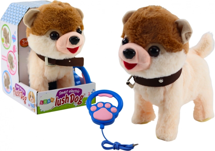 Cagnolino interattivo al guinzaglio