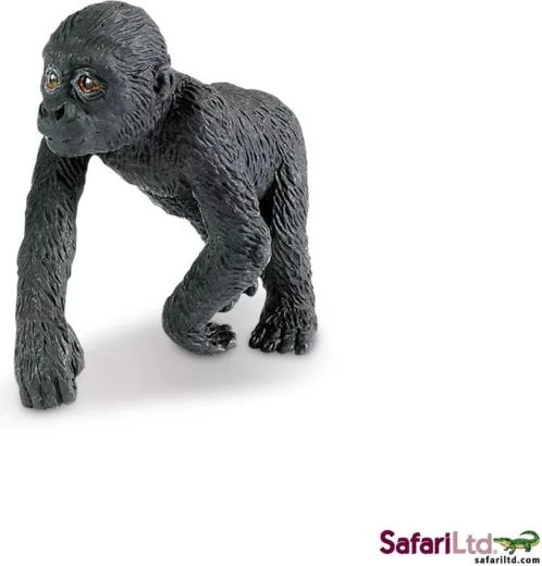 Cucciolo di gorilla di pianura