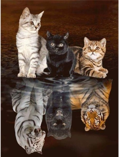 Ricamo con diamanti (diamond painting) riflesso nello specchio – tre gatti 30 × 40 cm - 1 pezzo