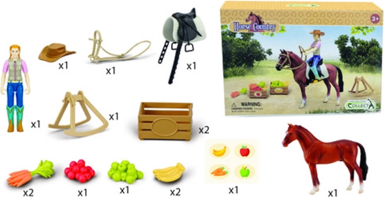 Cavaliere con stallone Hannover e accessori