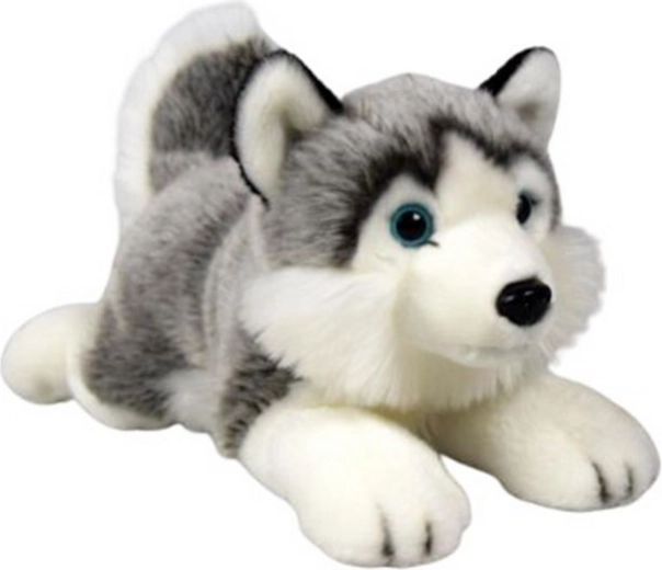 Husky di peluche sdraiato 34 cm