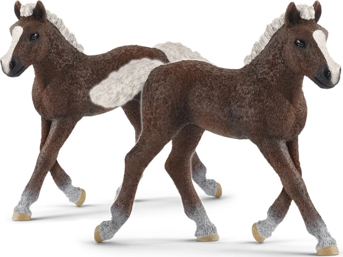 SCHLEICH HORSE CLUB puledro della Foresta Nera – figurina