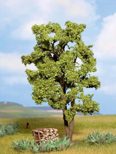Noch acacia – modello di albero 15 cm