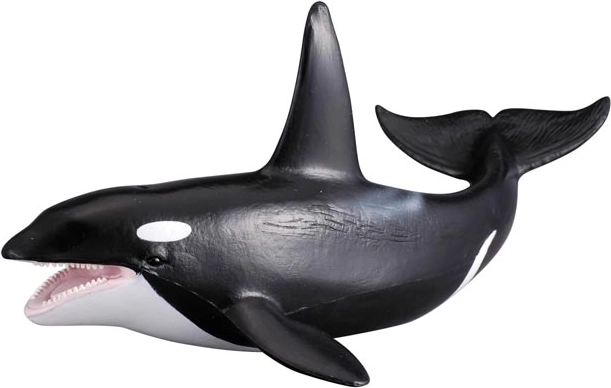 Orca