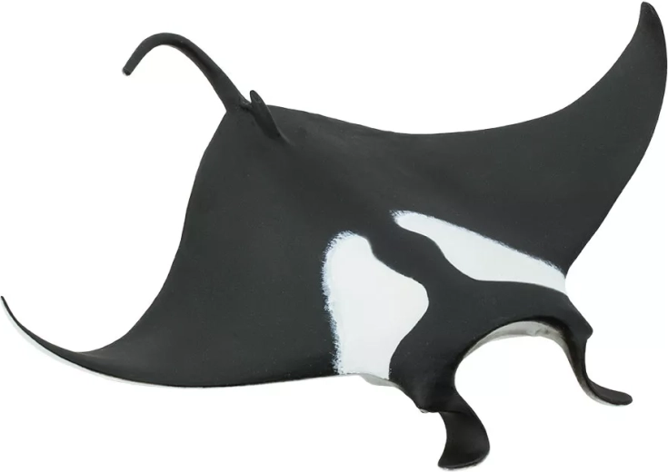 Safari Ltd. manta gigante (statuetta) - 1 pezzo