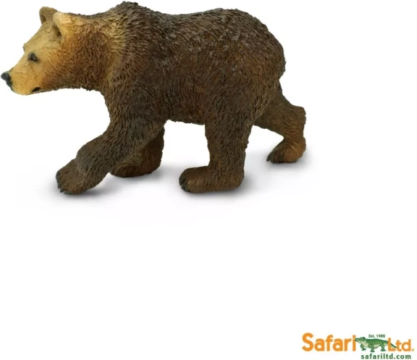 Orso grizzly – cucciolo