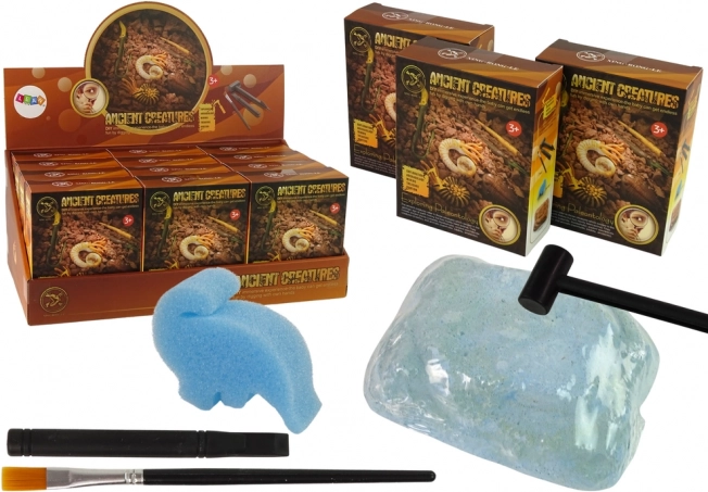 Scavi di creature antiche – sorpresa ammonite