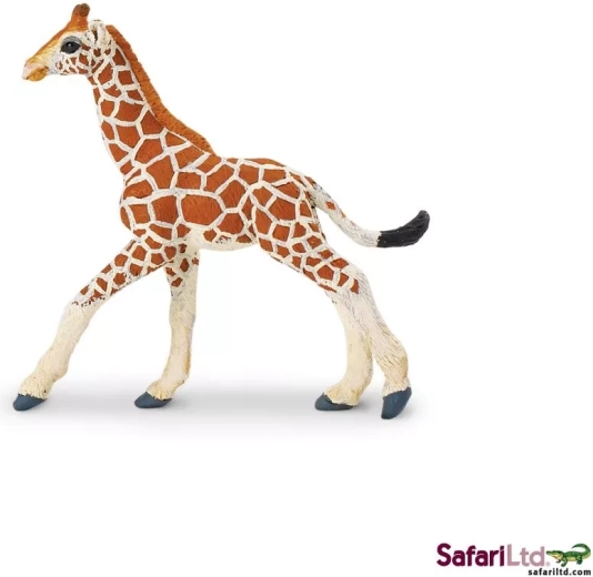 Safari Ltd. cucciolo di giraffa reticolata