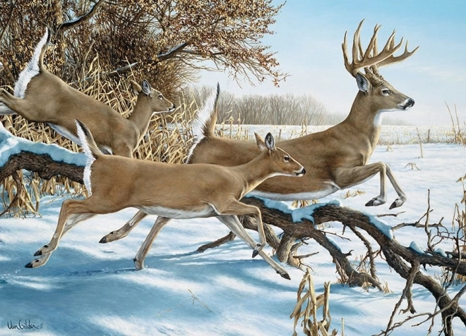 COBBLE HILL puzzle Fuga – 1000 pezzi