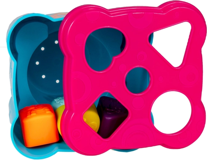 Box per forme con coperchio e 4 blocchi