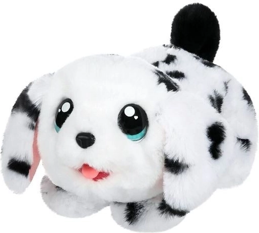 Un tenero dalmata pronto per le coccole