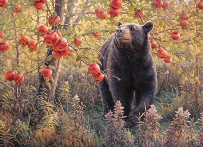 Puzzle Sogni di letargo invernale 500 pezzi