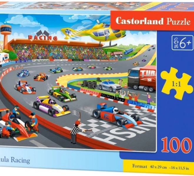Puzzle Corse di Formula