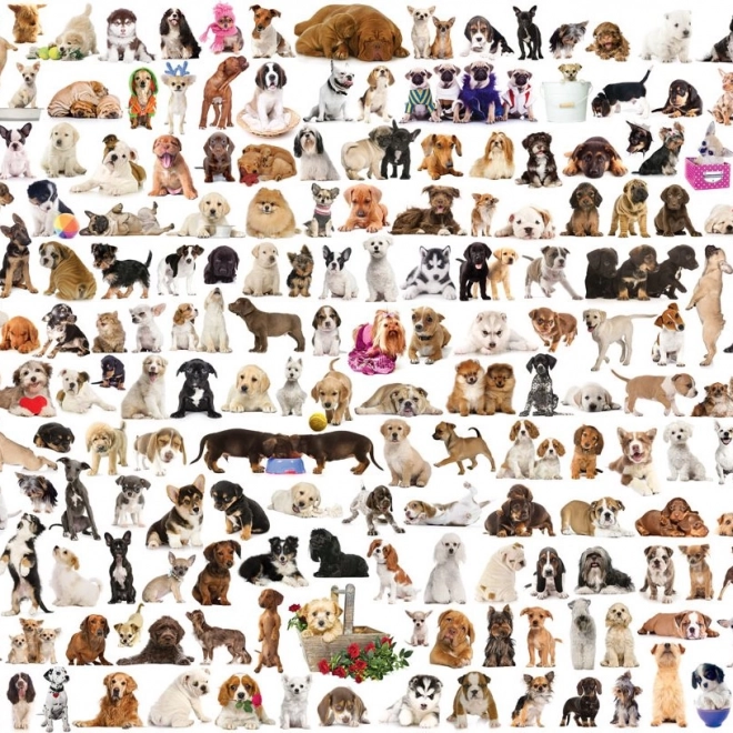 Puzzle EUROGRAPHICS Mondo dei Cani 2000 pezzi