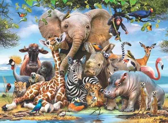 Puzzle ANATOLIAN – Sorriso africano, 1000 pezzi