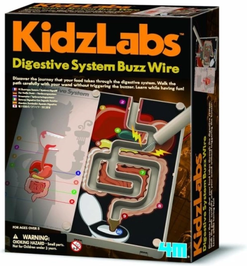 4M Sistema Digestivo per Bambini