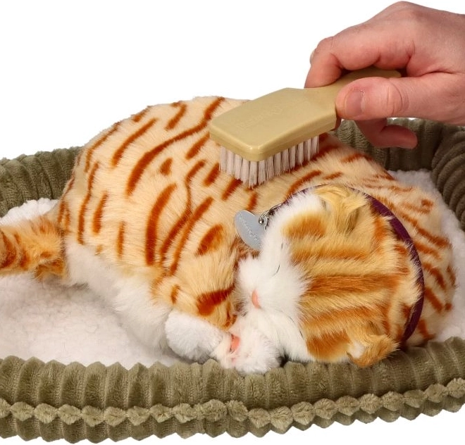 Gattina di peluche respirante arancione tigrata