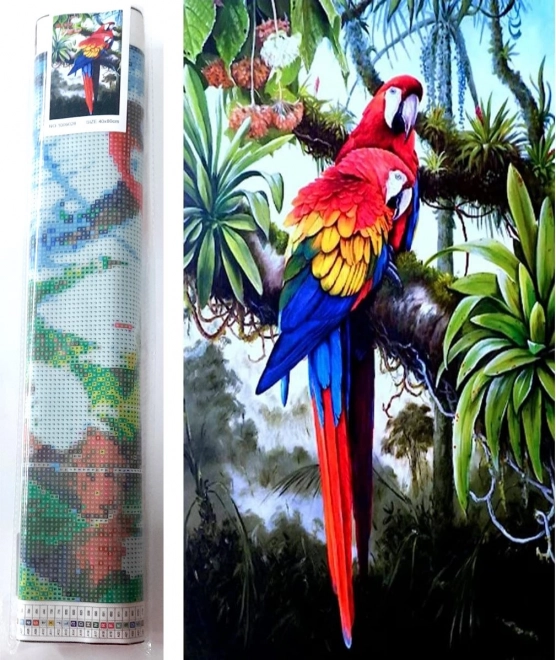 Pittura diamantata Pappagalli colorati 80 × 40 cm NORIMPEX