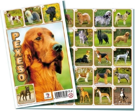 Pexeso Cani gioco da tavolo