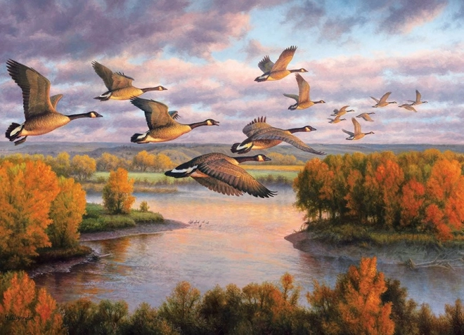Puzzle Migrazione COBBLE HILL 1000 pezzi