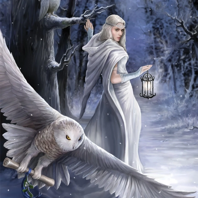 Puzzle Anne Stokes Messaggero di mezzanotte 1000 pezzi