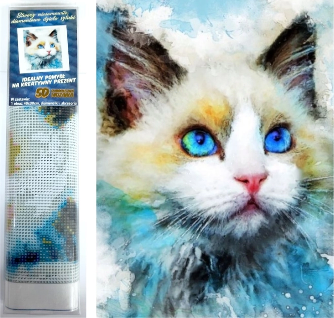Pittura di diamanti Sguardo blu 30x40 cm
