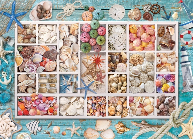 Puzzle EUROGRAPHICS La collezione di conchiglie di Laura – 1000 pezzi