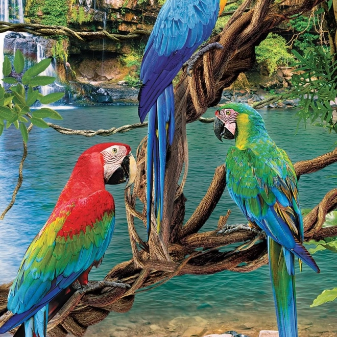 Puzzle EUROGRAPHICS pappagalli Ara XL 250 pezzi