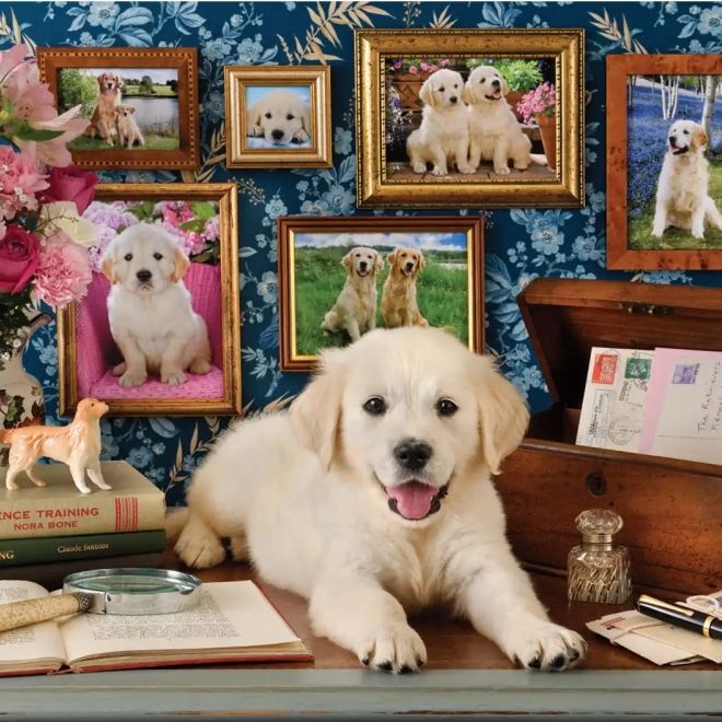 Puzzle Labrador 500 pezzi