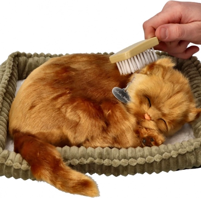 Gattino di peluche Angora turca – gatto realistico dormiente