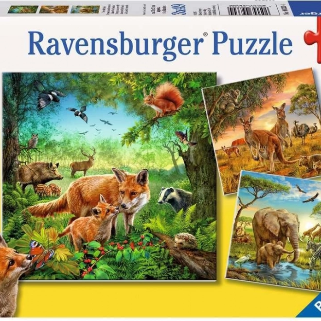 Puzzle Ravensburger Animali 3×49 pezzi
