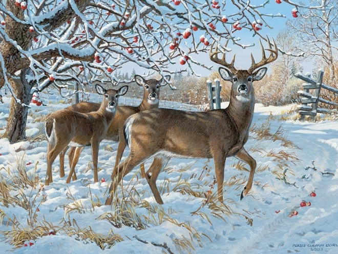 Puzzle Cervi in inverno 500 pezzi