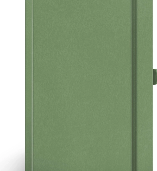 Taccuino Notique verde a righe 13 × 21 cm
