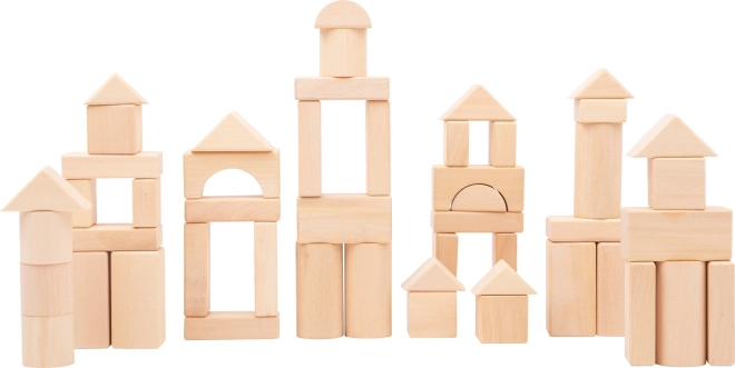 Blocchi da costruzione in legno 50 pz naturali small foot