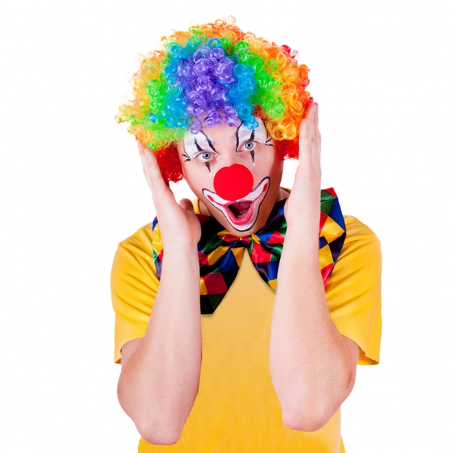 Parrucca clown colorata per adulti