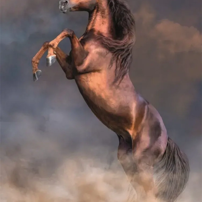 Puzzle Cavallo Rosso Selvaggio 500 pezzi